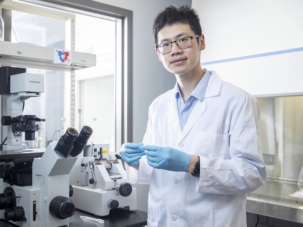 Dr. Lei Shi
